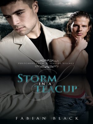 cover image of Storm In a Teacup